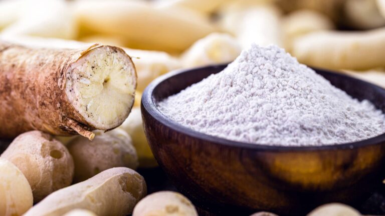 Sfondo di tuberi con in risalto un pezzo di manioca e una ciotola contenente farina di manioca. Tutte fonti di amidi