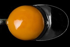 Vitamina K2 in un tuorlo d'uovo