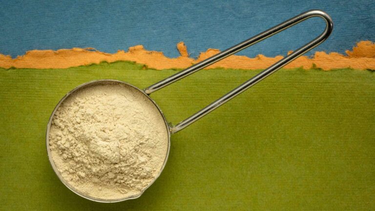 Pentolino con polvere di ashwagandha su sfondo verde e blu