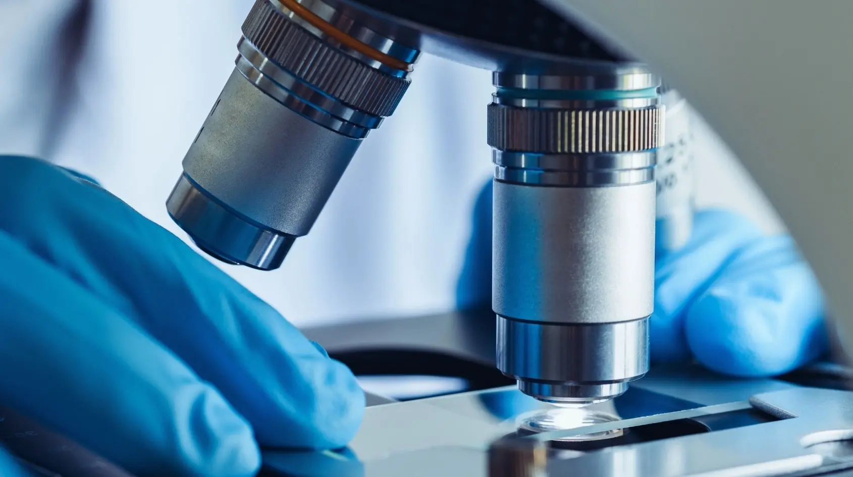 Analisi al microscopio di cellule del sangue per valutare una possibile carenza di vitamina B12