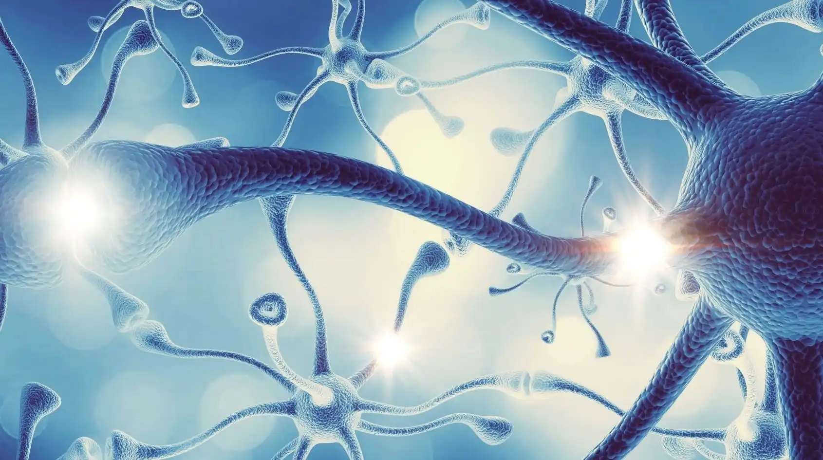 Illustrazione realistica di neuroni e sinapsi che rappresentano il ruolo della vitamina B12 nel sistema nervoso