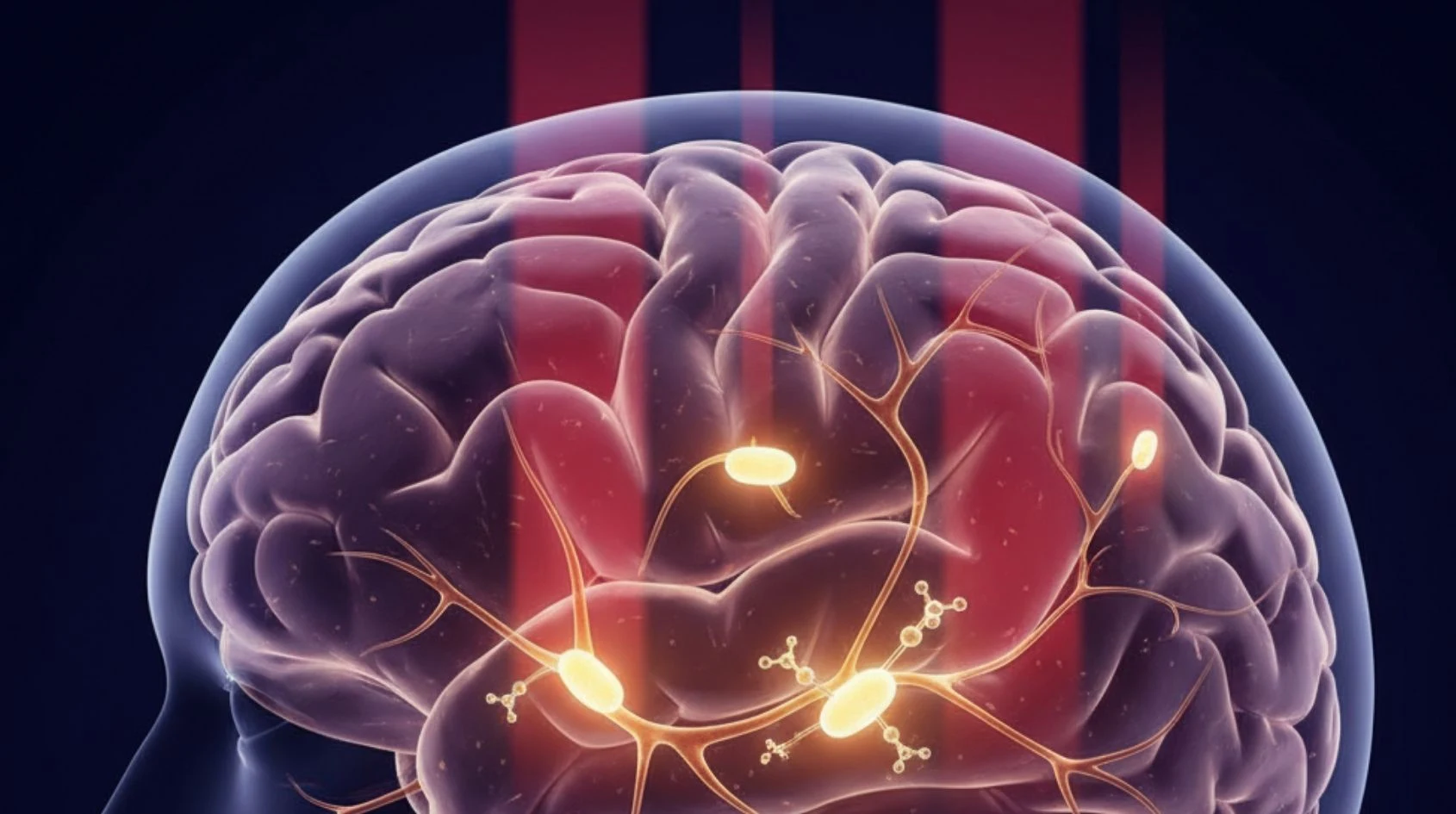 Illustrazione medico-scientifica del cervello con luce infrarossa che attiva i mitocondri e supporta la funzione cognitiva.