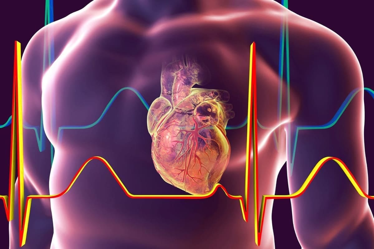 Rischio cardiovascolare