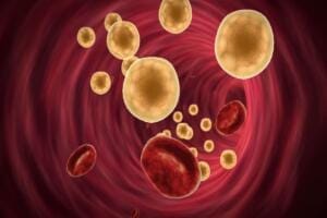 Rappresentazione del colesterolo e delle lipoproteine nel sangue