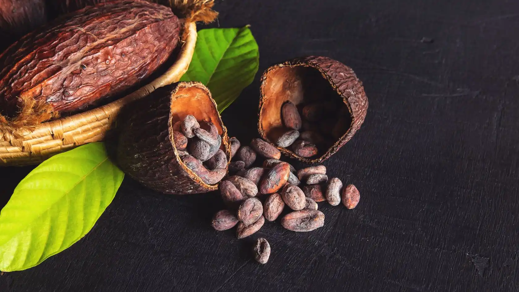 fave di cacao crudo non tostato