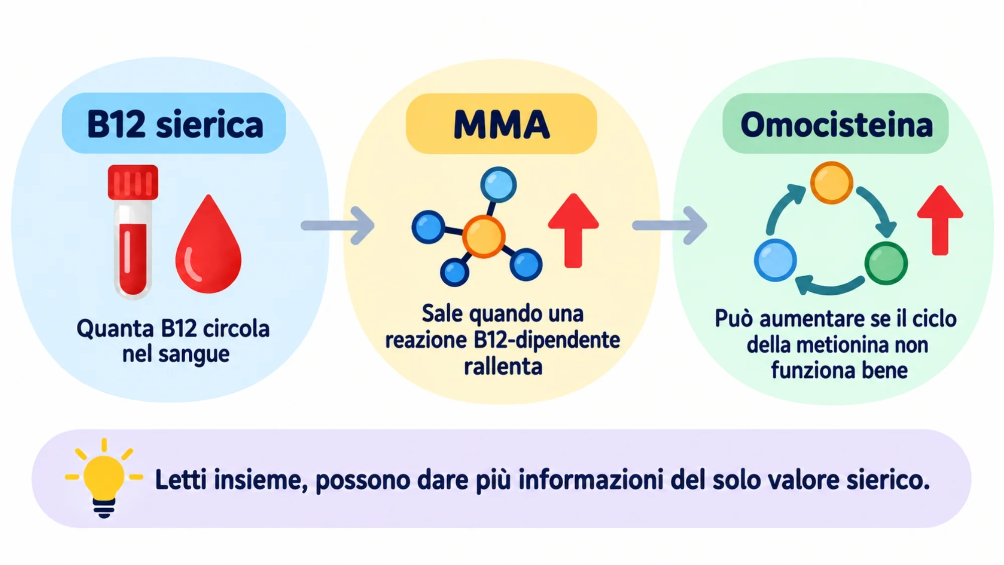 Schema semplice di B12 sierica, MMA e omocisteina nella valutazione della vitamina B12